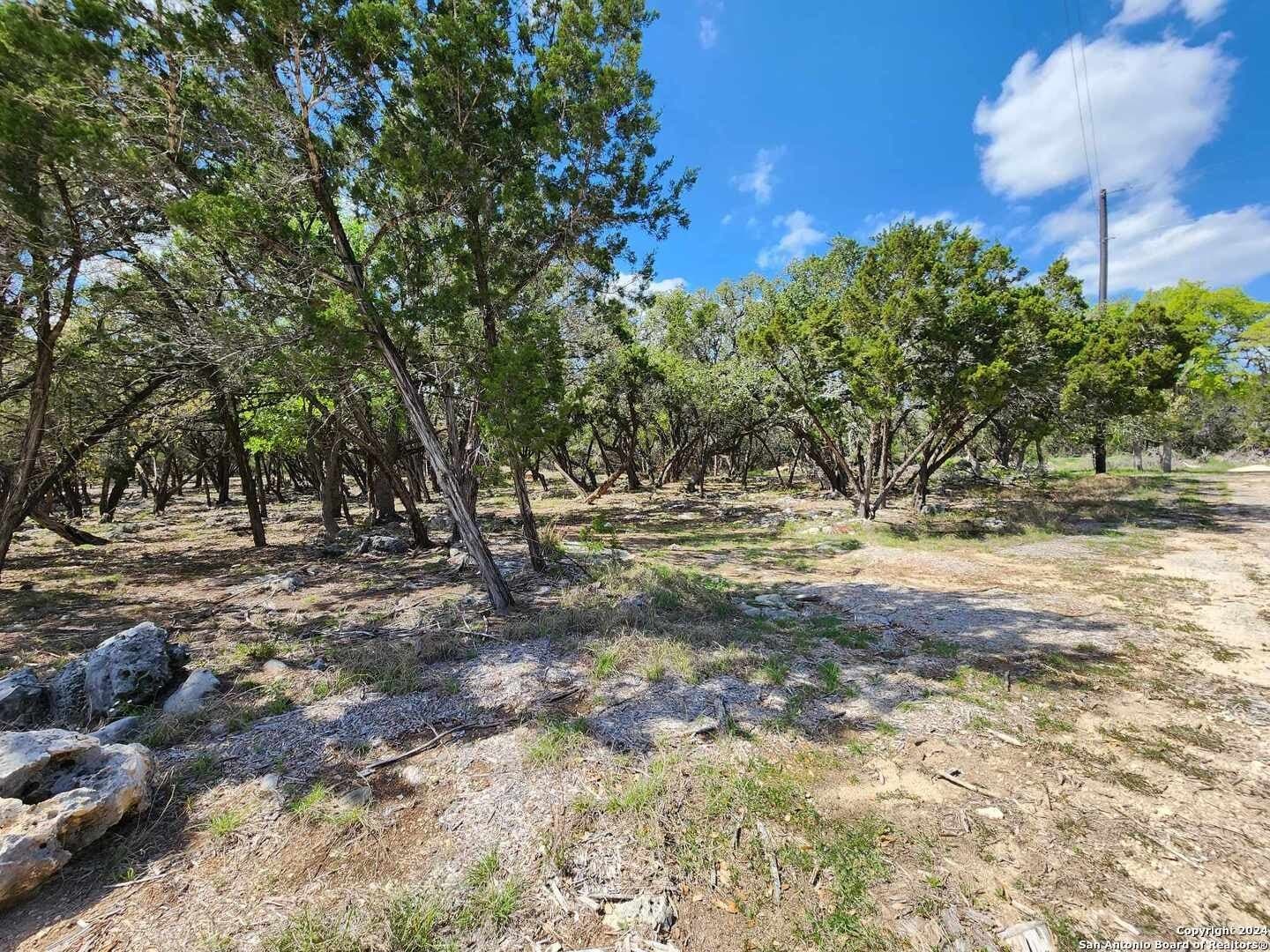 0.76 acres in Comal County gallery image 3
