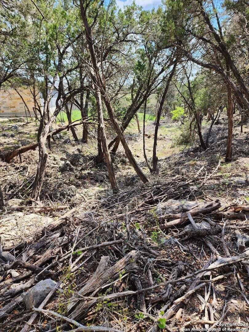 0.76 acres in Comal County - photo 6