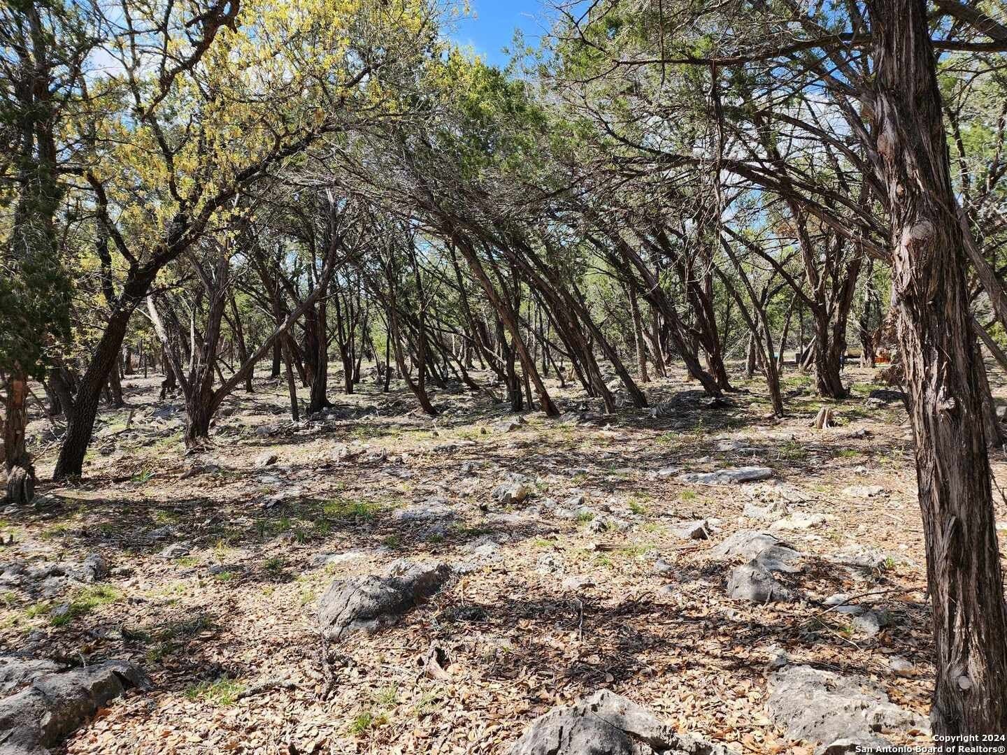 0.76 acres in Comal County featured view