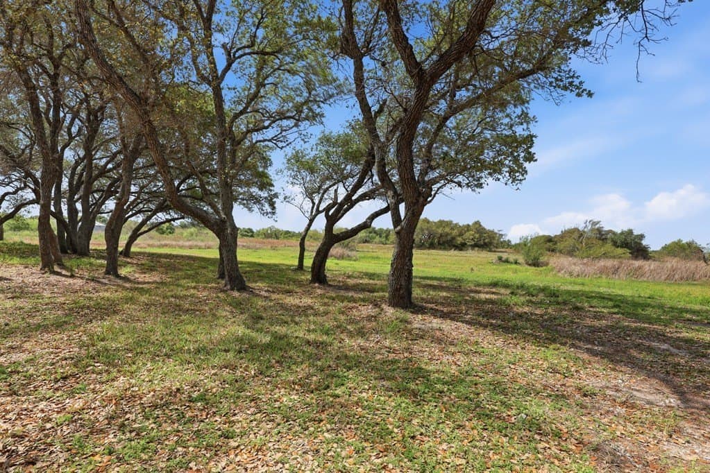 2.5 acres in Texas County - photo 14