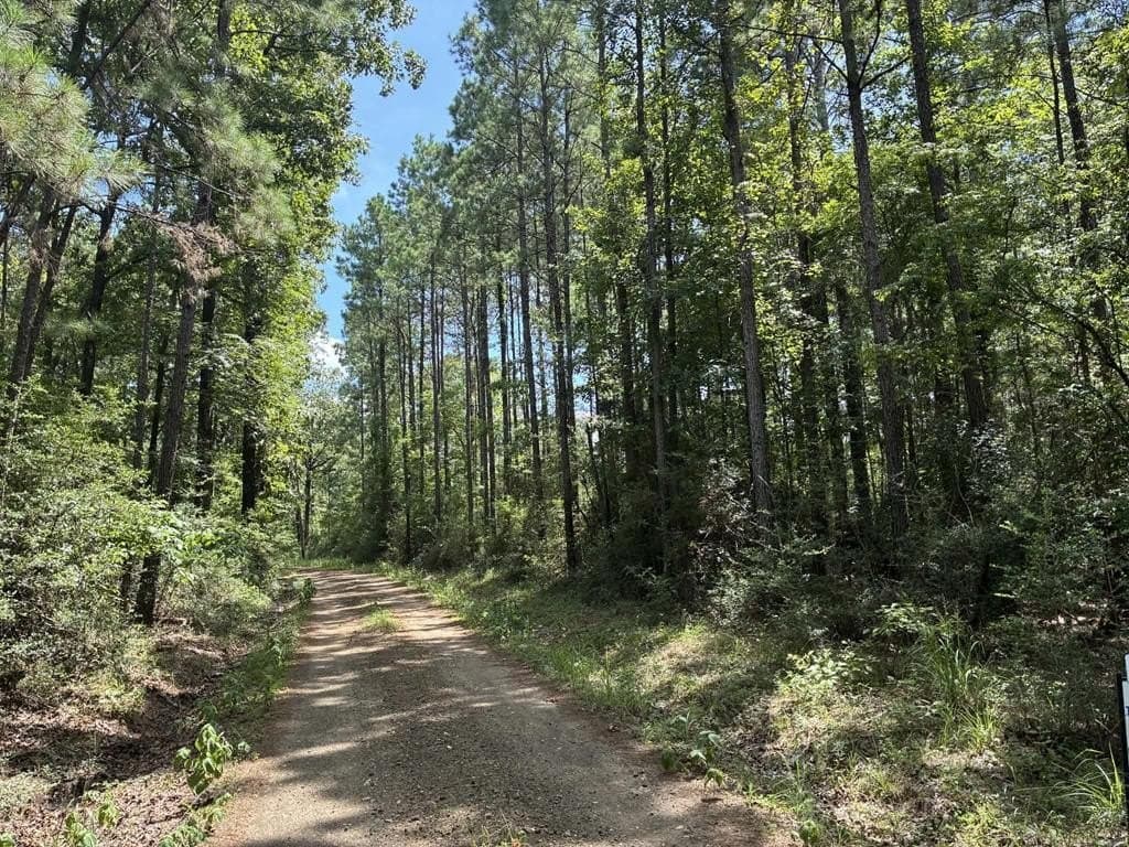 4.31 acres in Texas County - photo 9