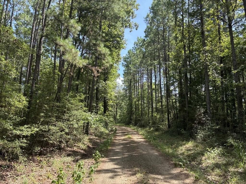 4.31 acres in Texas County - photo 7