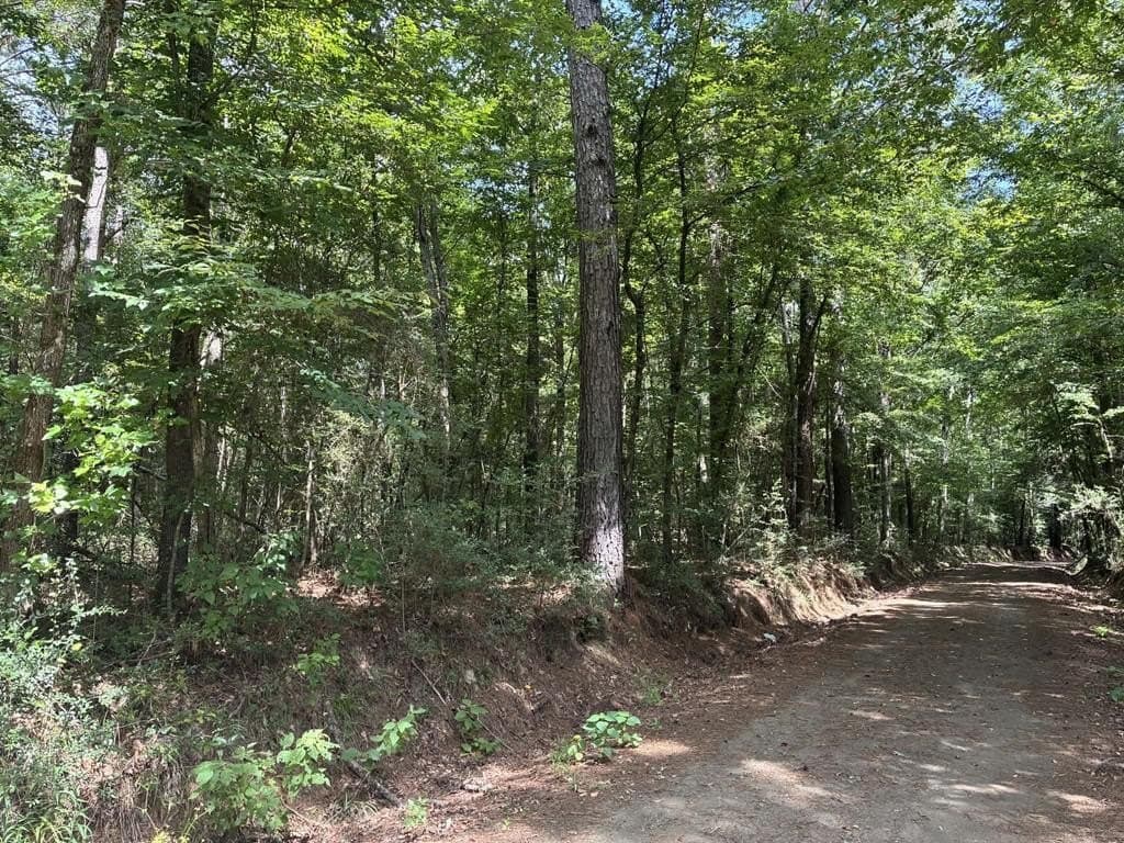 4.31 acres in Texas County - photo 5