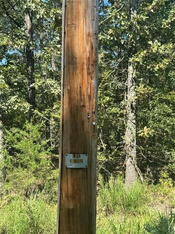 10.2 acres in Lamar County gallery image 3