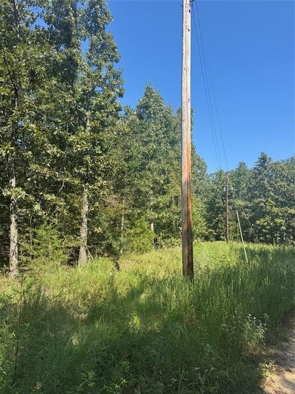 10.2 acres in Lamar County gallery image 2