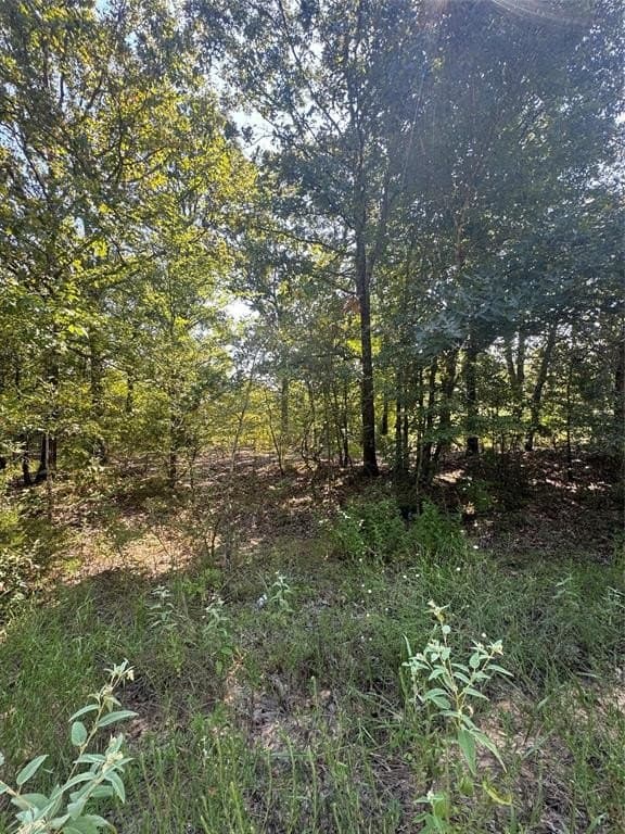 10.2 acres in Lamar County