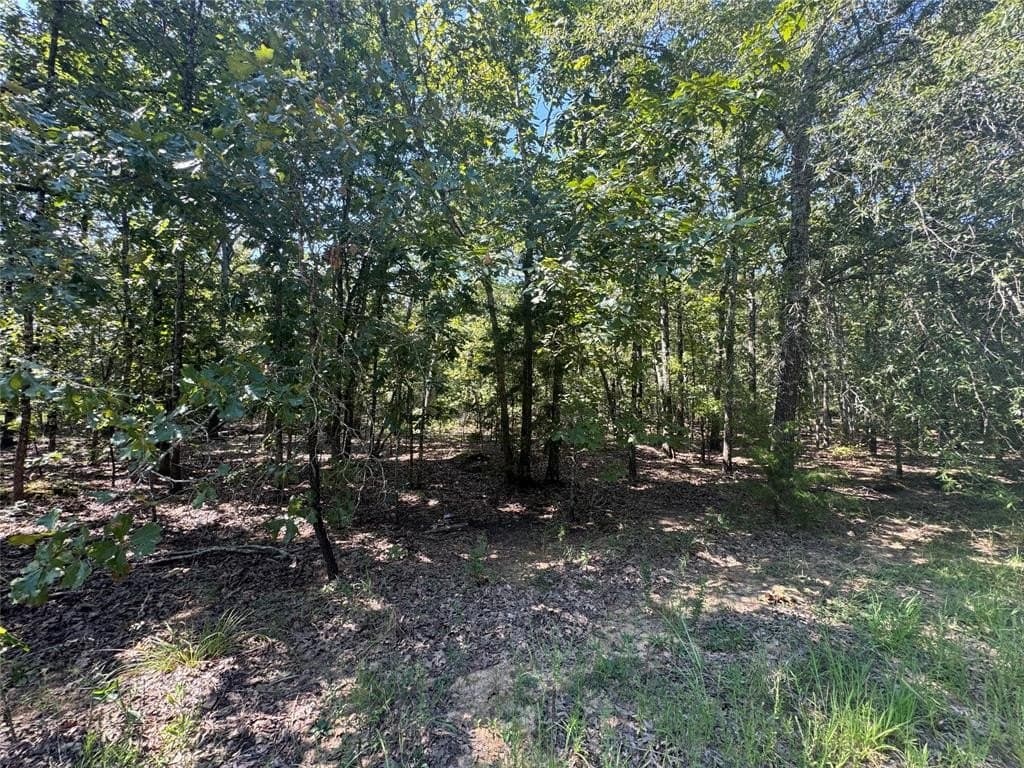 10.2 acres in Lamar County gallery image 4