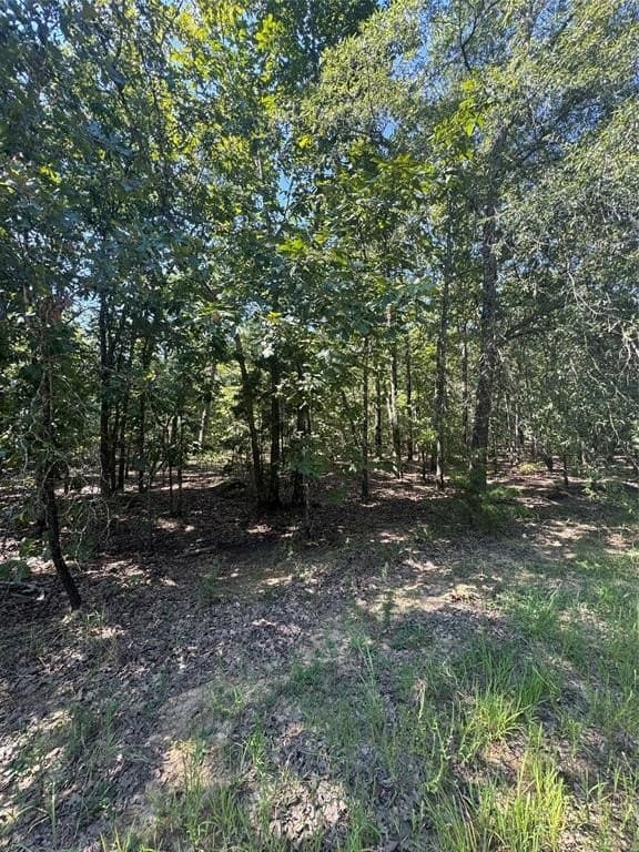 10.2 acres in Lamar County featured view