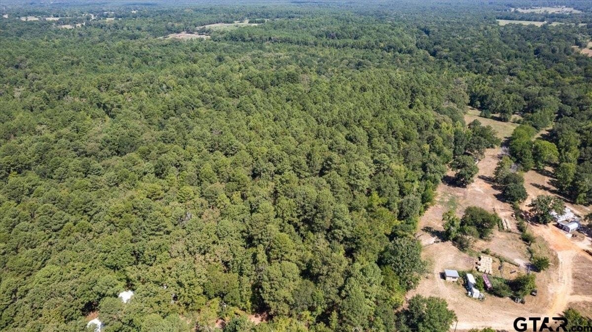 29.96 acres in Wood County - photo 47
