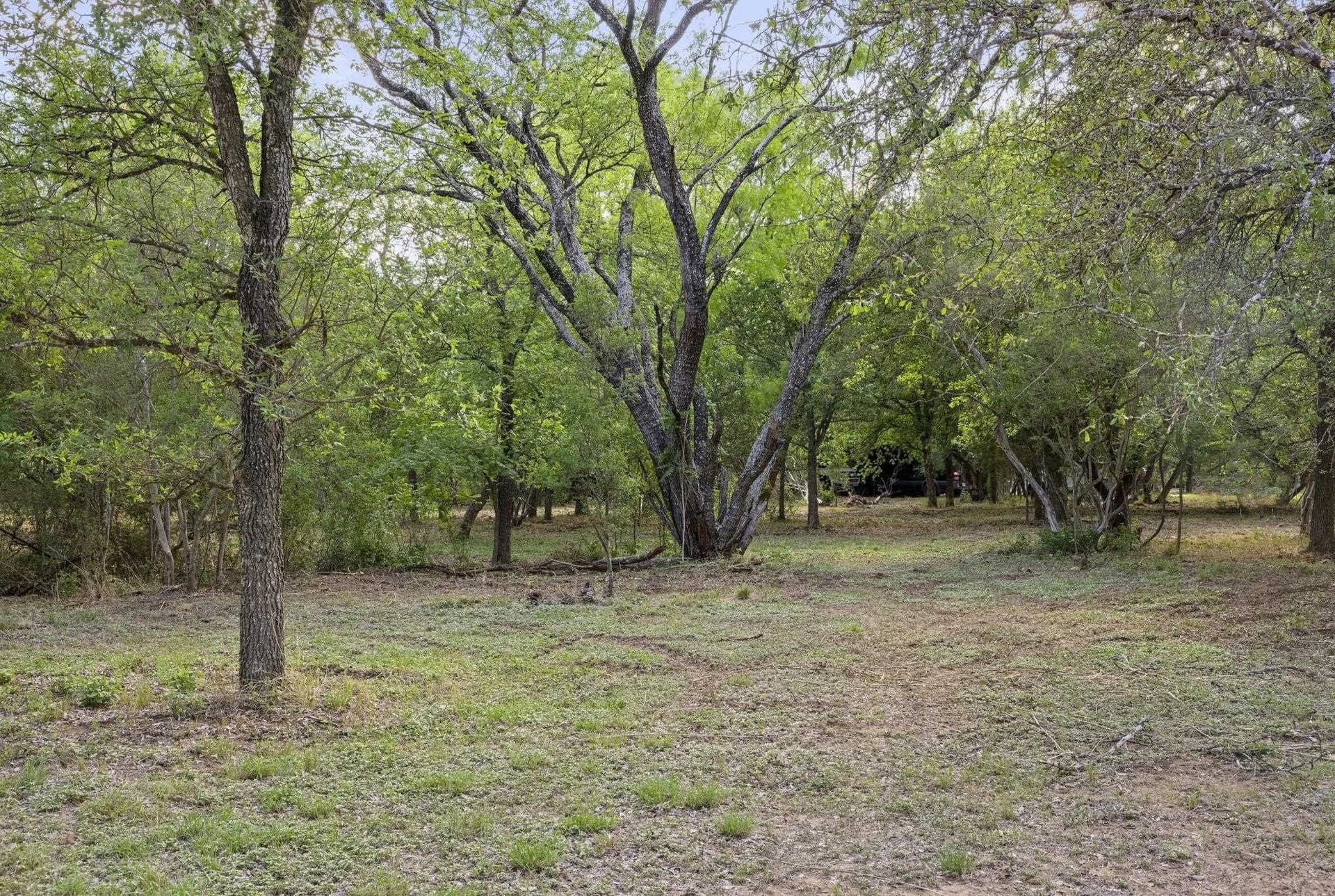 19.5 acres in Burnet County - photo 28