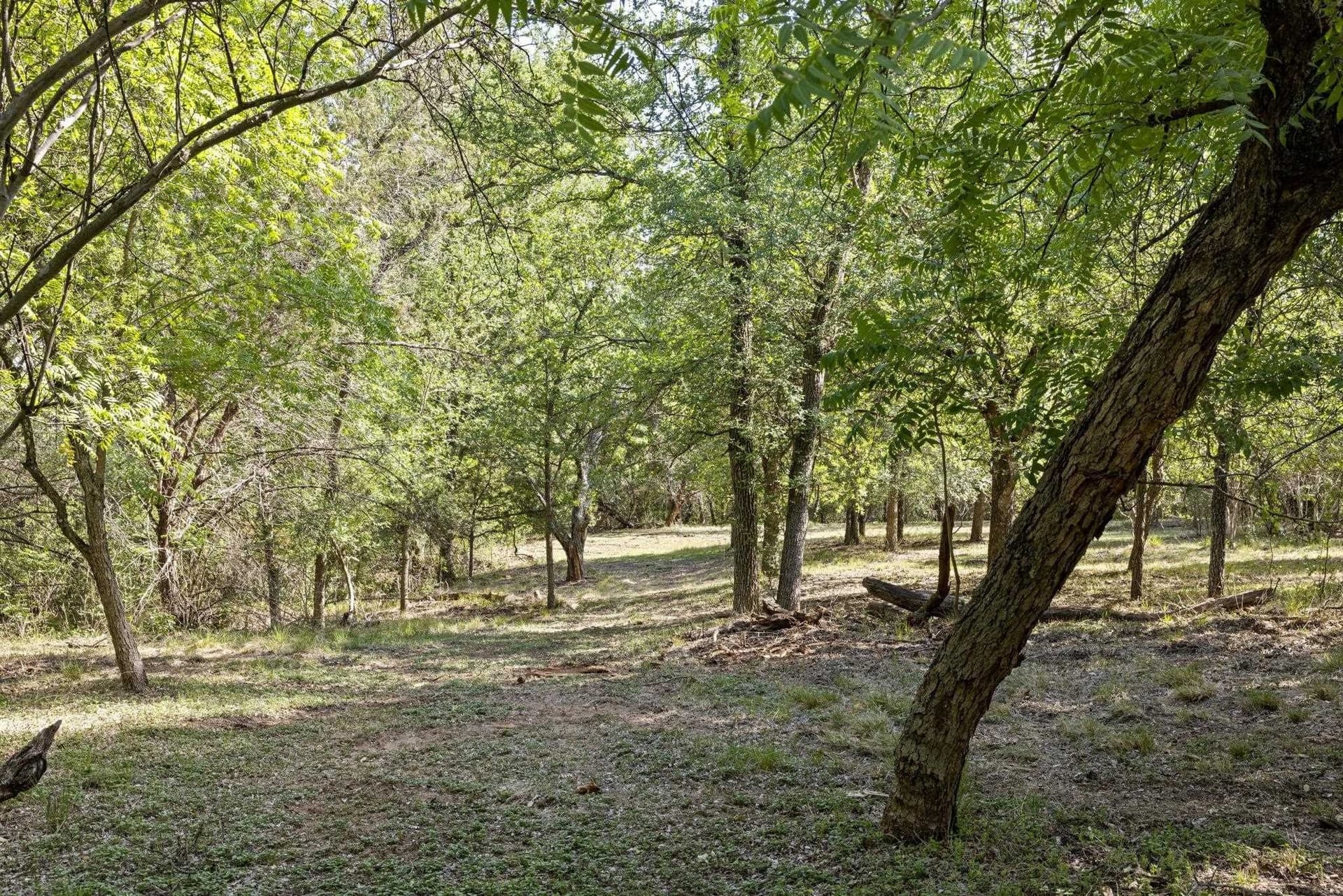 19.5 acres in Burnet County - photo 29