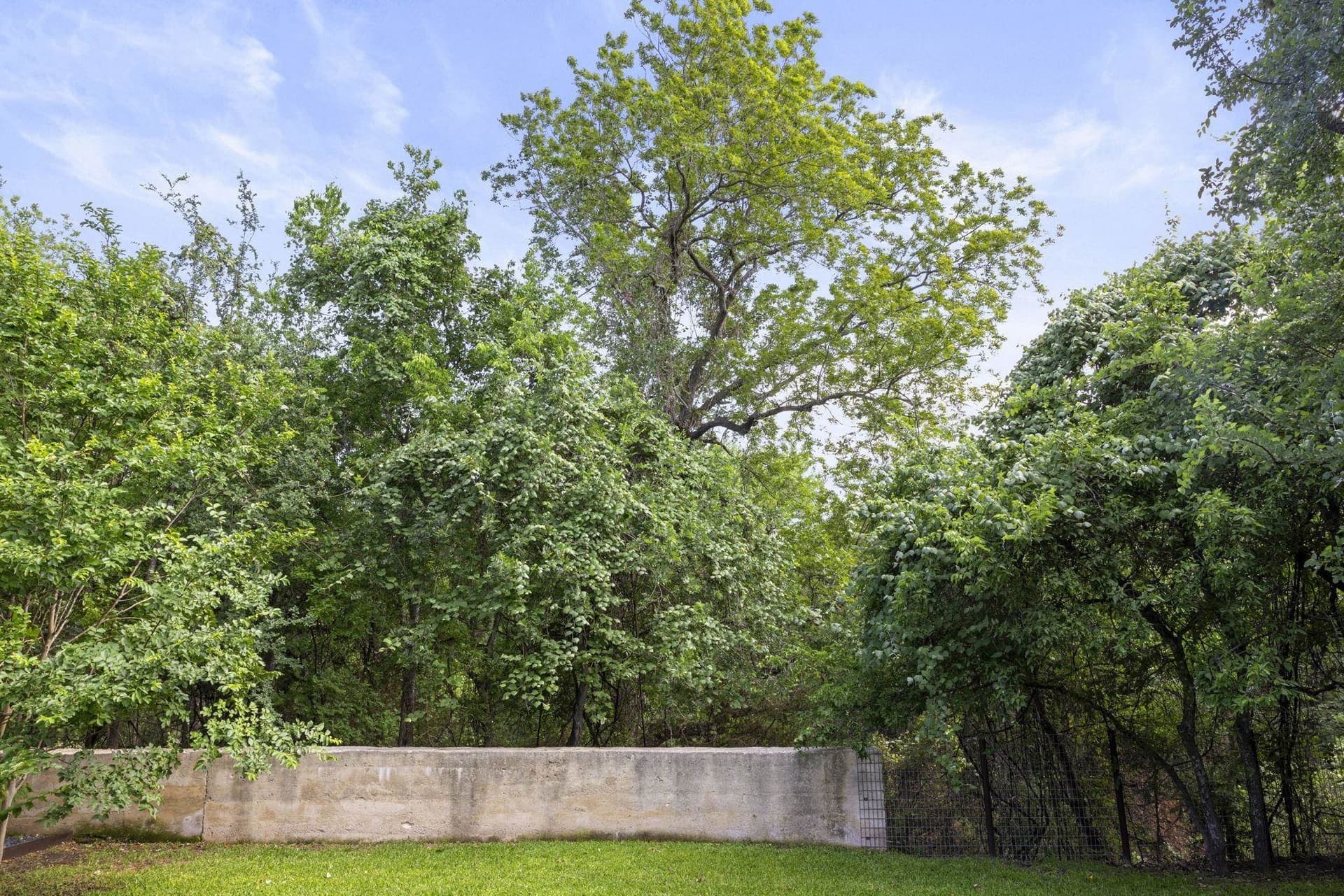 19.5 acres in Burnet County - photo 10