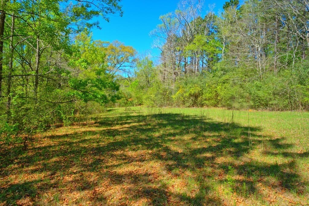 52.53 acres in Texas County - photo 22