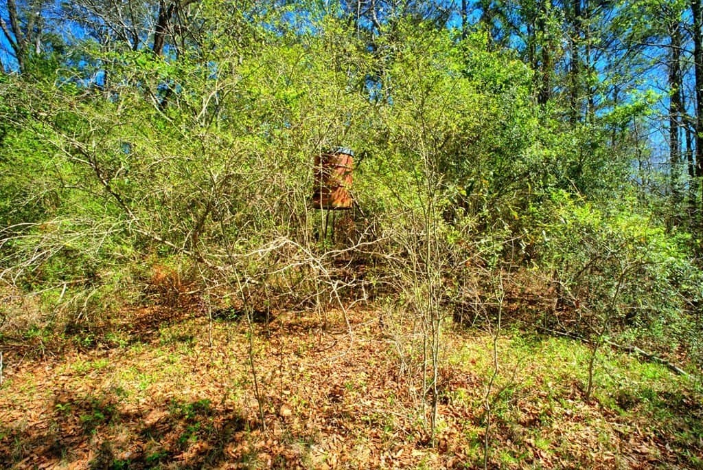 52.53 acres in Texas County - photo 26