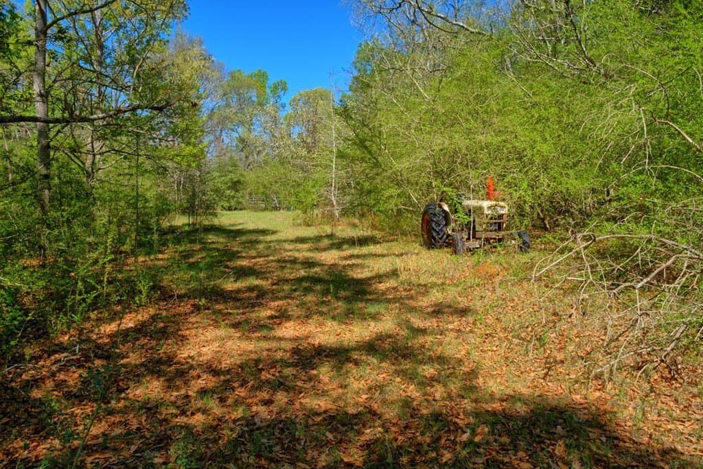 52.53 acres in Texas County - photo 20