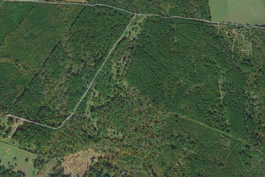 52.53 acres in Texas County gallery image 2