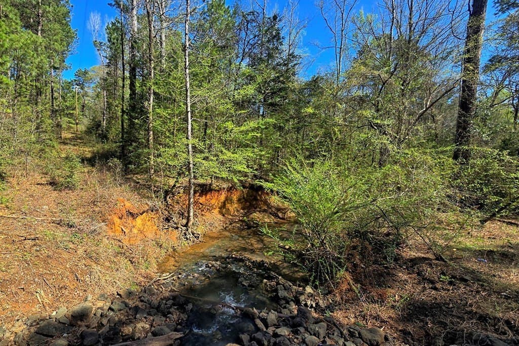 52.53 acres in Texas County - photo 9