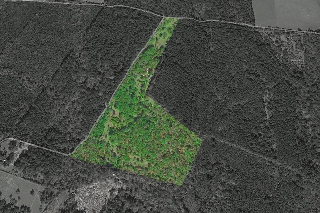 52.53 acres in Texas County