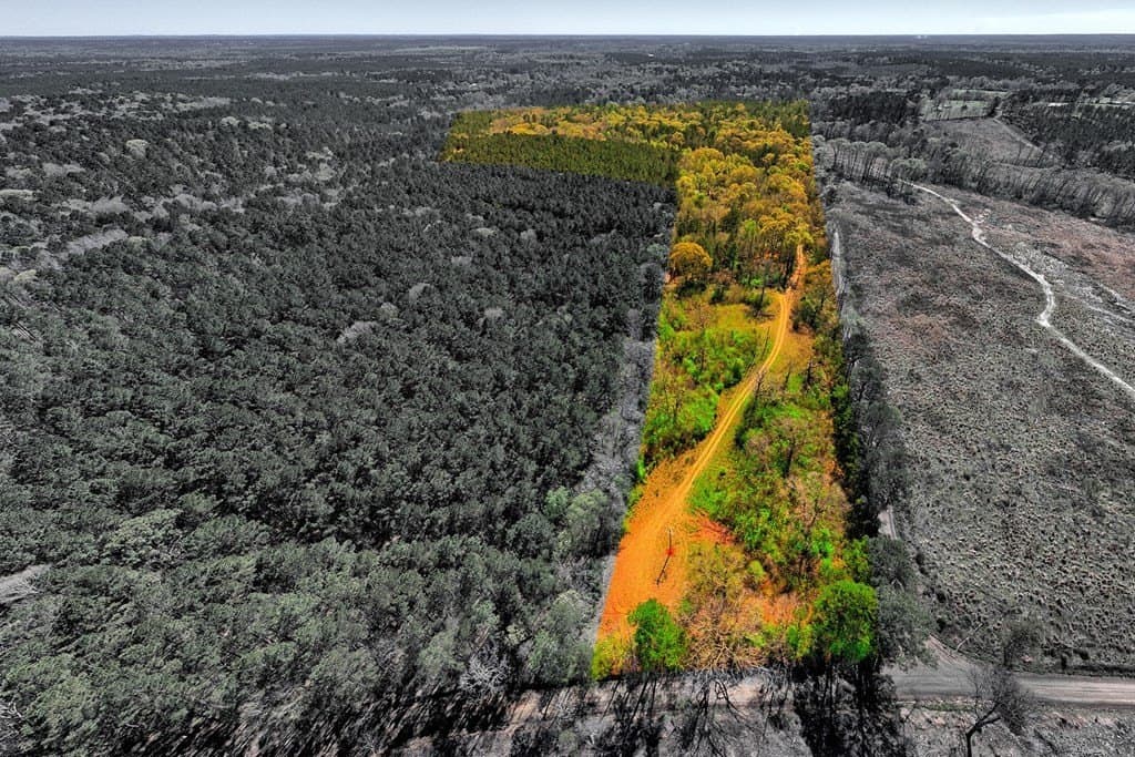 52.53 acres in Texas County gallery image 4
