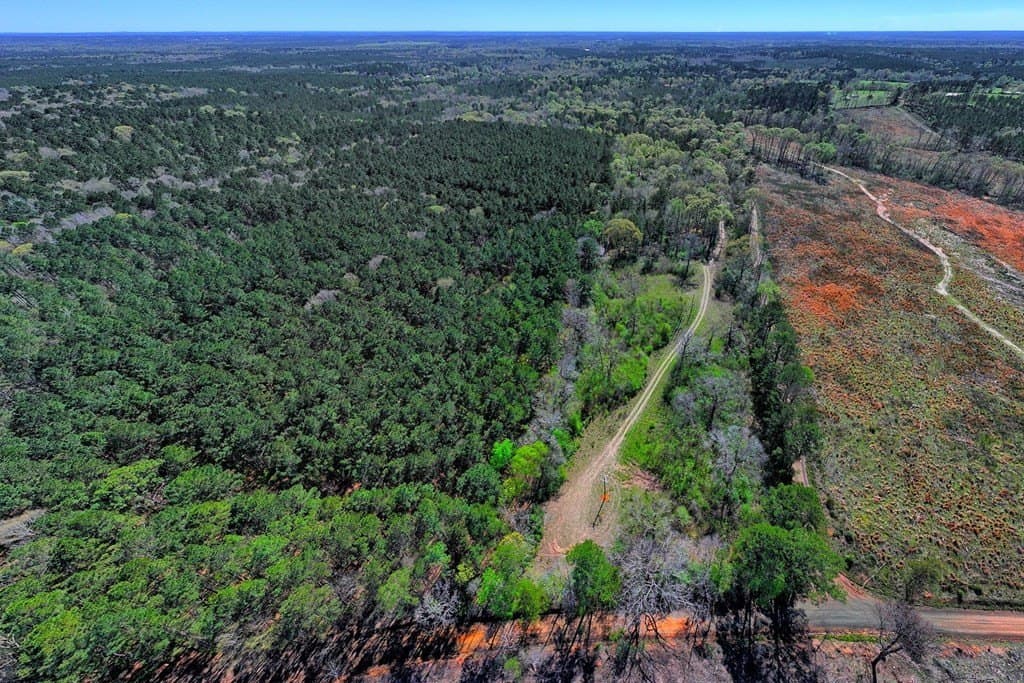 52.53 acres in Texas County gallery image 3