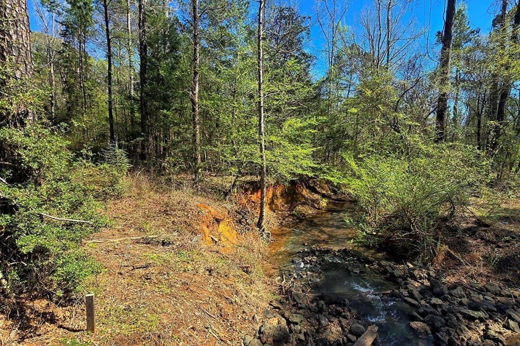 52.53 acres in Texas County - photo 11