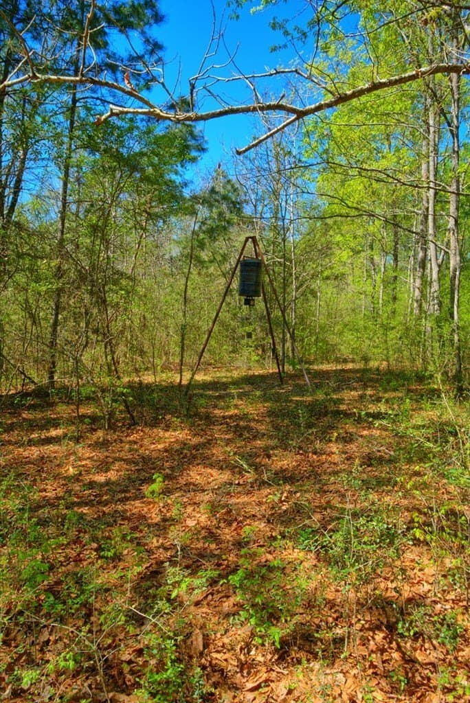 52.53 acres in Texas County - photo 25