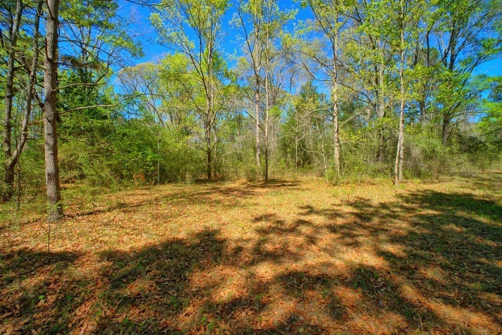 52.53 acres in Texas County - photo 27