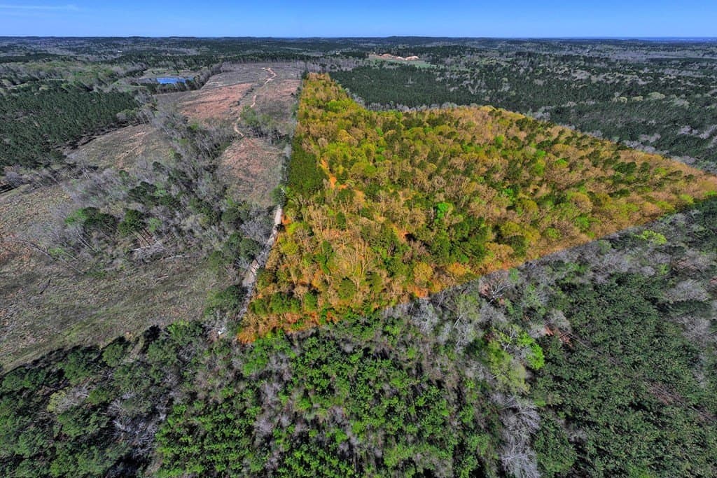 52.53 acres in Texas County - photo 6