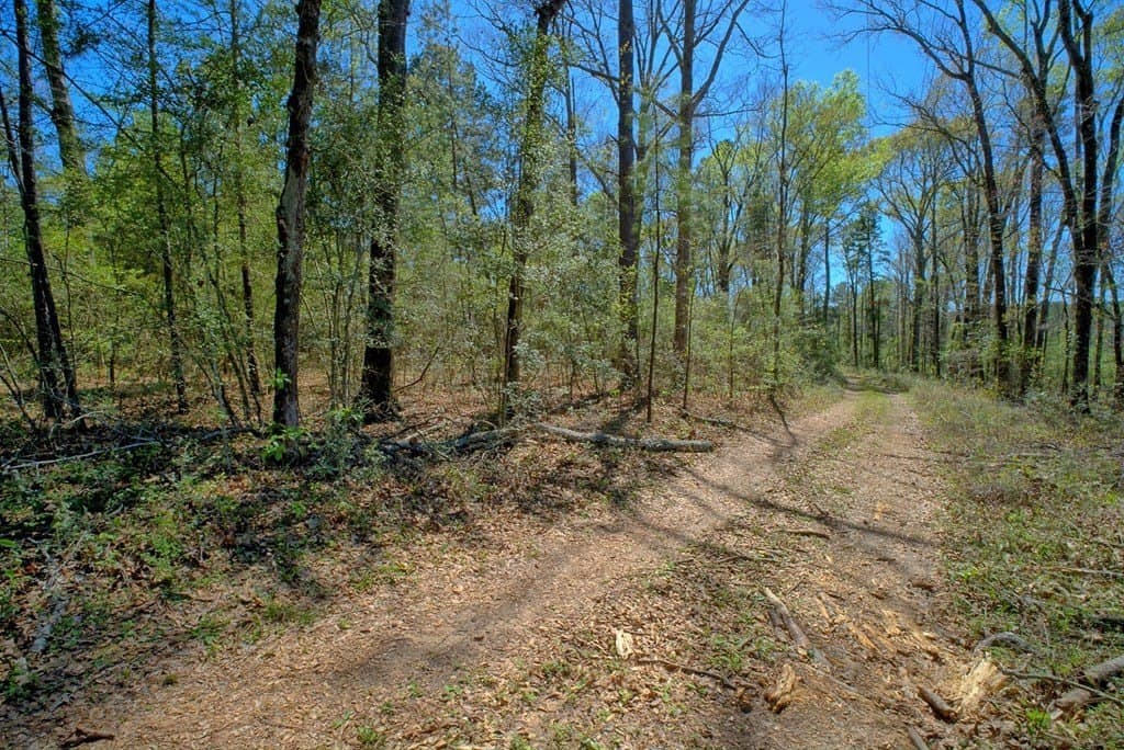 52.53 acres in Texas County - photo 18