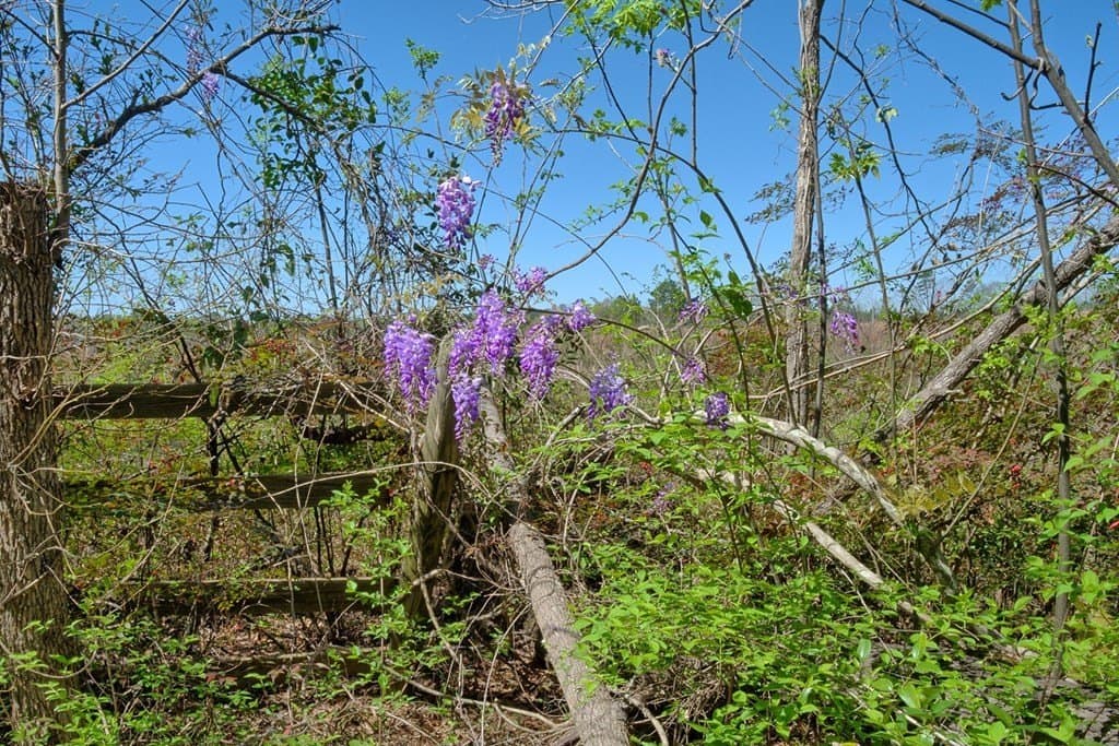 52.53 acres in Texas County - photo 15