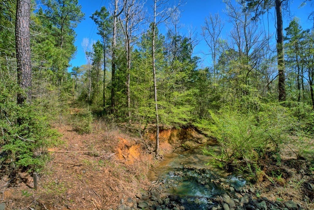 52.53 acres in Texas County - photo 13