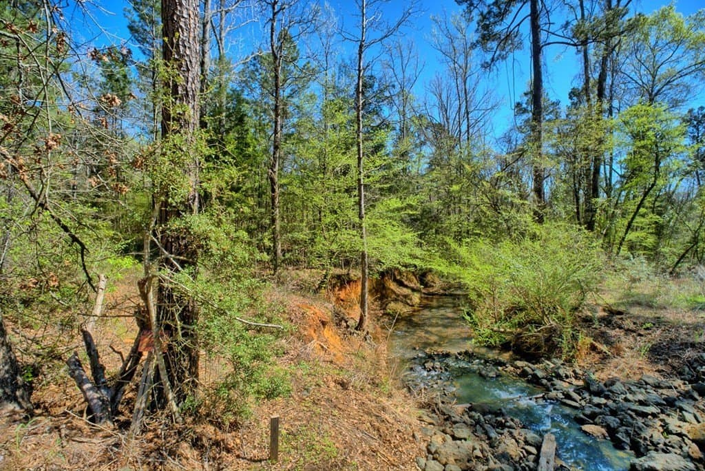 52.53 acres in Texas County - photo 12