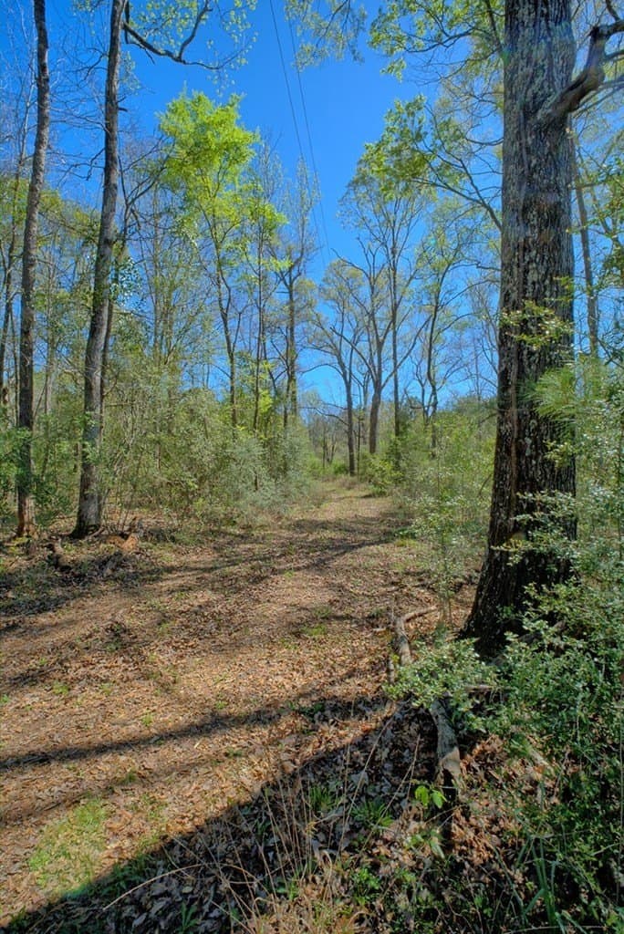 52.53 acres in Texas County - photo 19