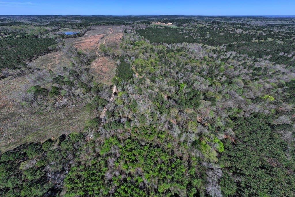 52.53 acres in Texas County featured view