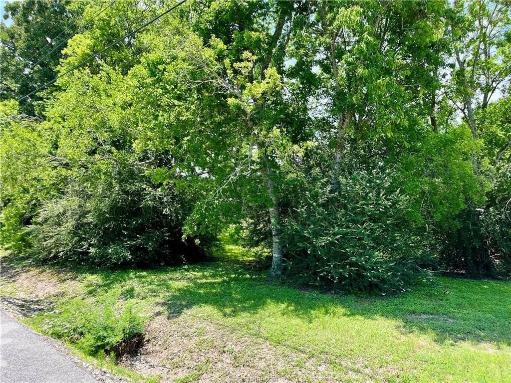 0.13 acres in Brazos County featured view