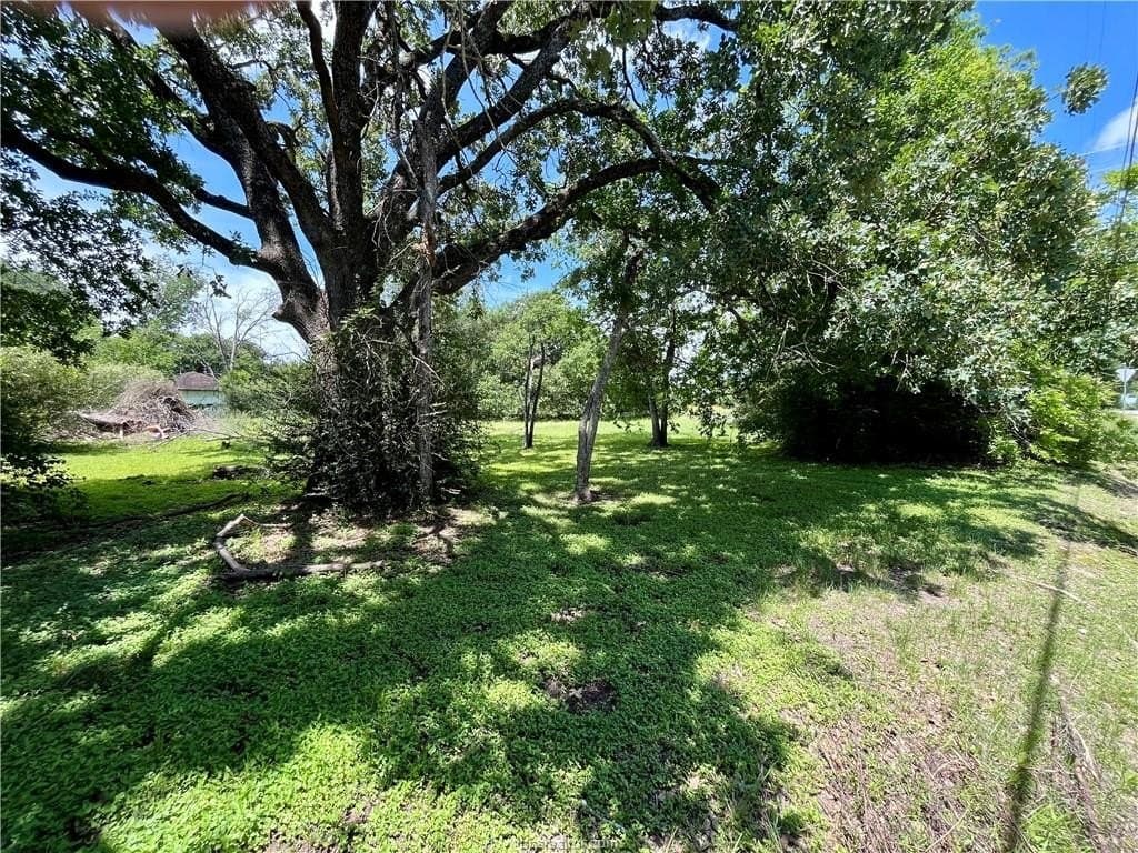 0.13 acres in Brazos County gallery image 2