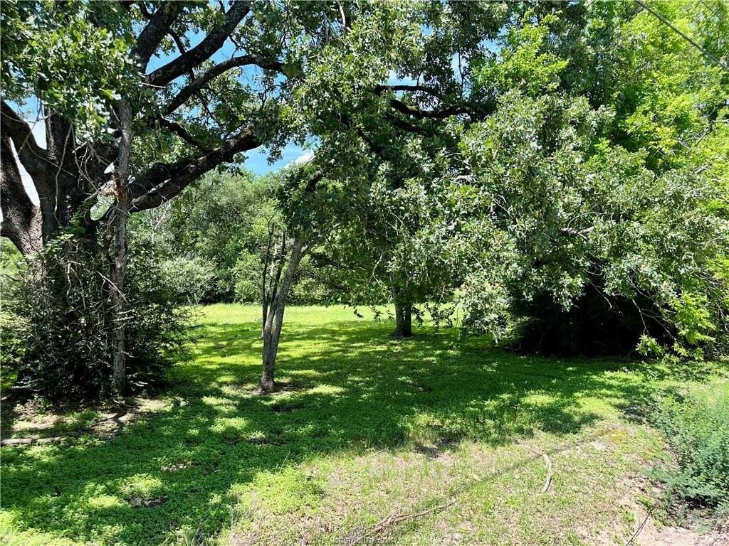 0.13 acres in Brazos County gallery image 4