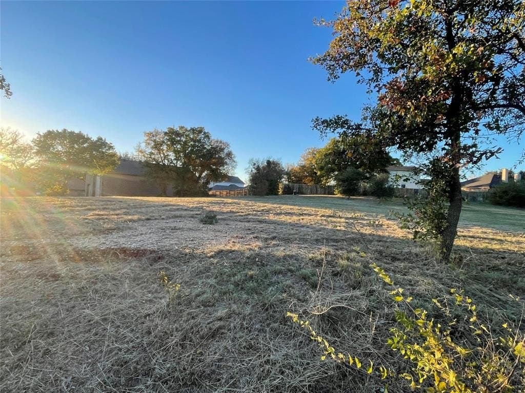 0.29 acres in Young County gallery image 2