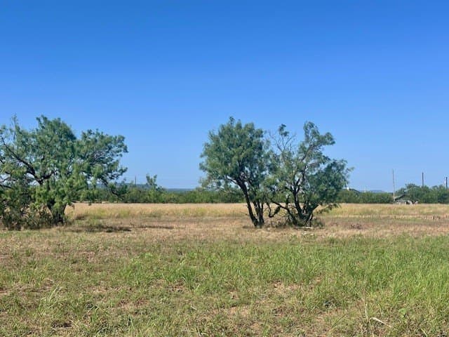 4.21 acres in Taylor County gallery image 2