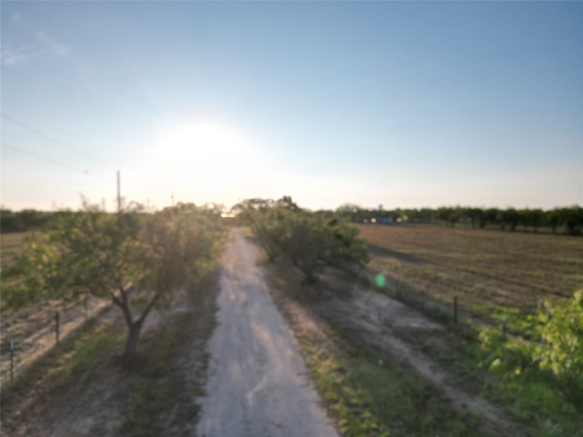 4.21 acres in Taylor County - photo 11