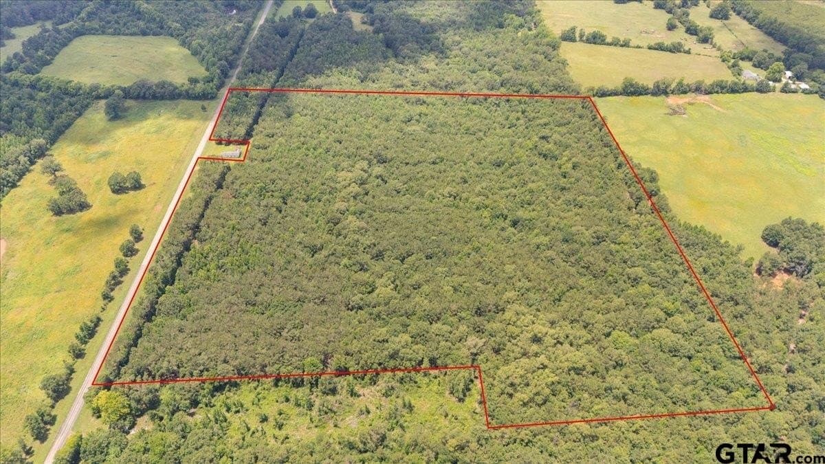50.8 acres in Rusk County gallery image 2