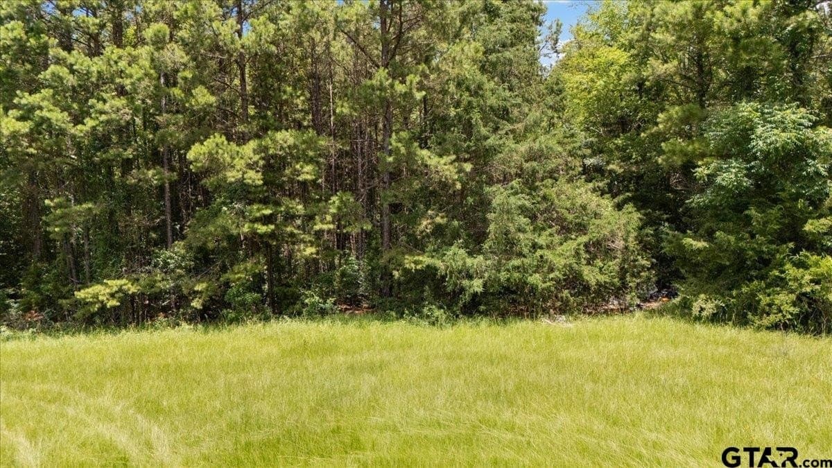 50.8 acres in Rusk County - photo 8