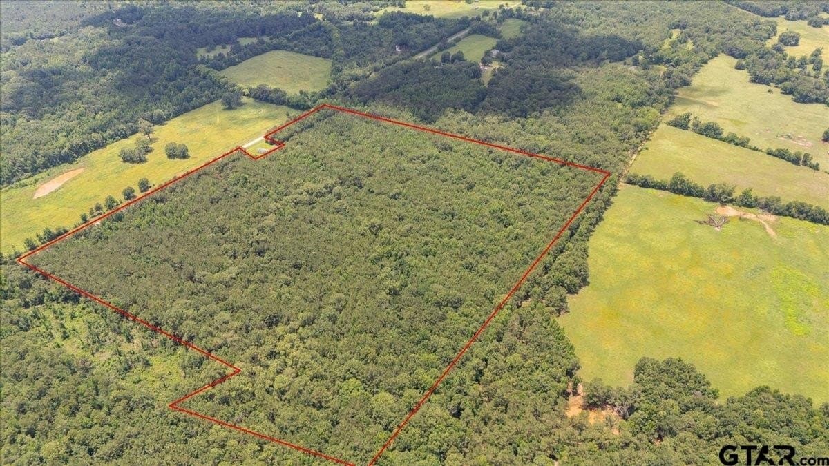 50.8 acres in Rusk County gallery image 3