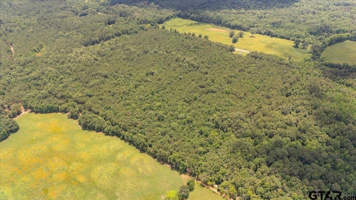 50.8 acres in Rusk County - photo 6