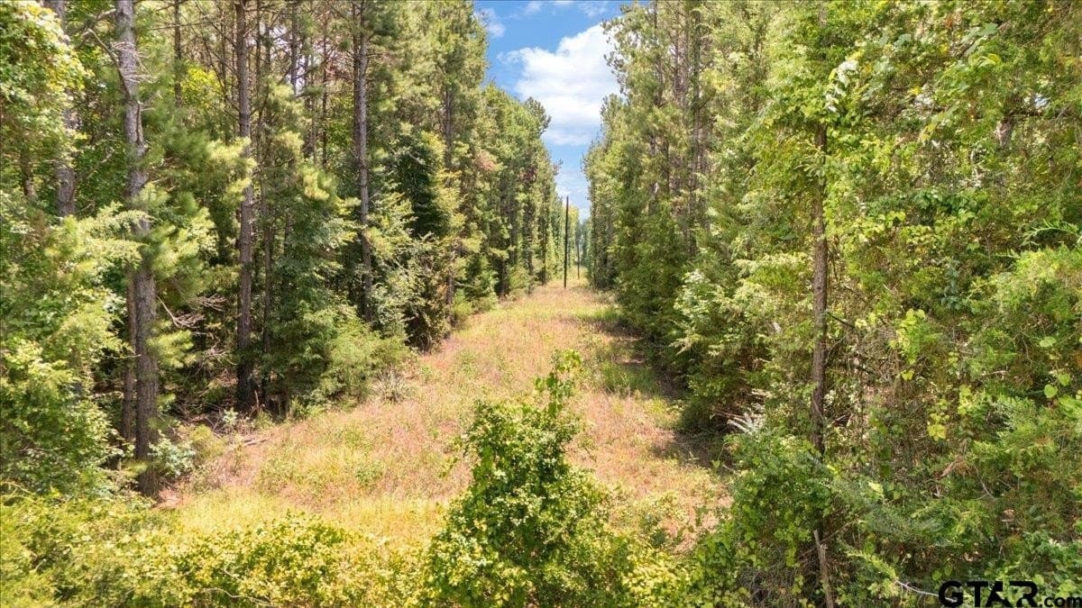 50.8 acres in Rusk County - photo 9