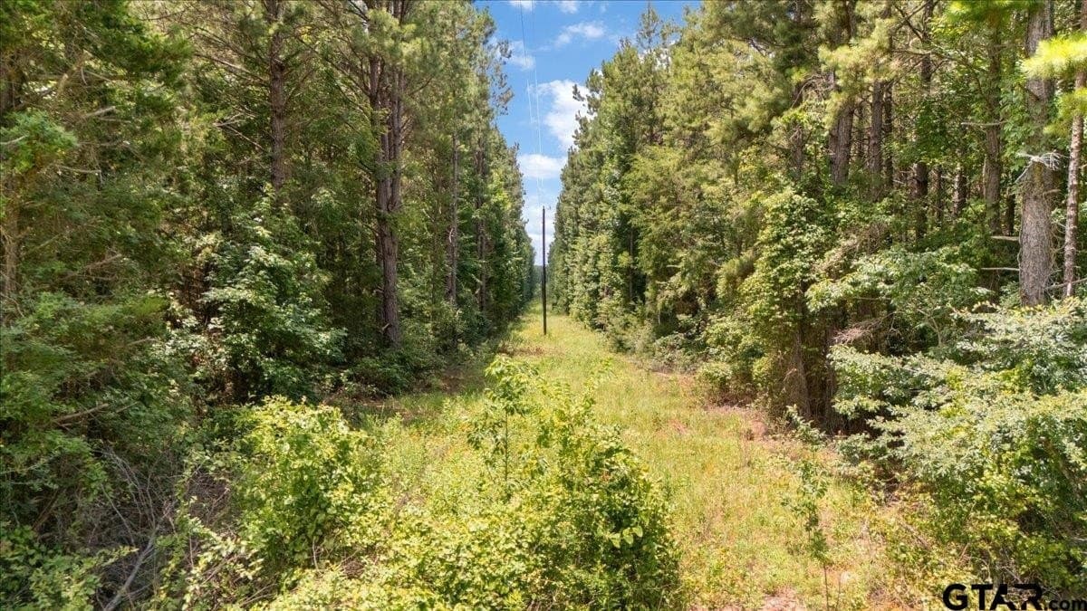 50.8 acres in Rusk County - photo 10