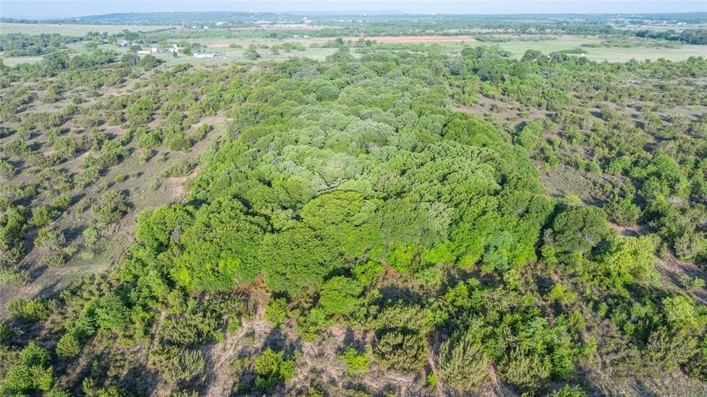 7.24 acres in Callahan County gallery image 2
