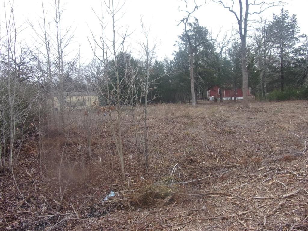 0.35 acres in Van Zandt County gallery image 3