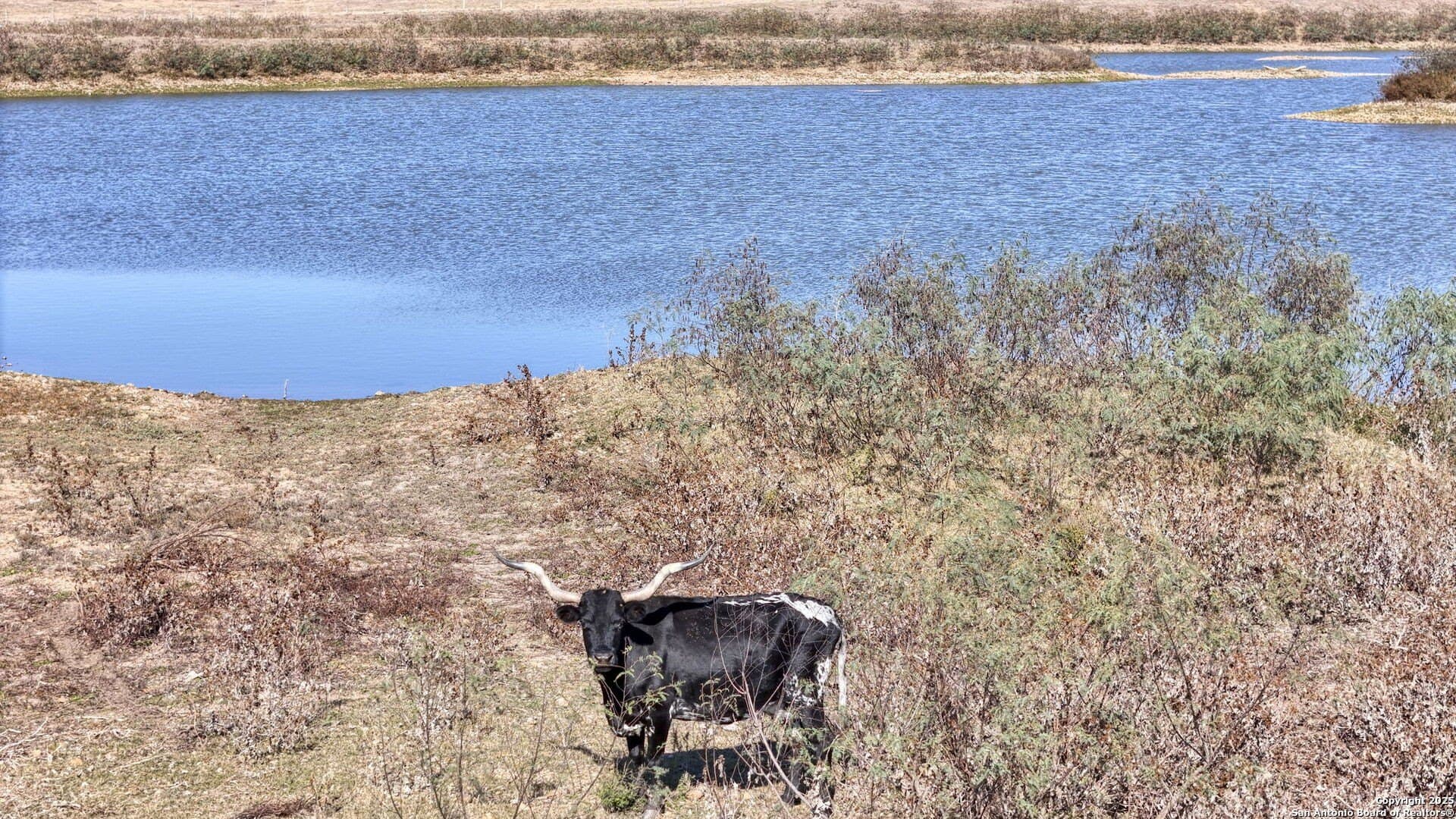 45.43 acres in Fayette County - photo 78