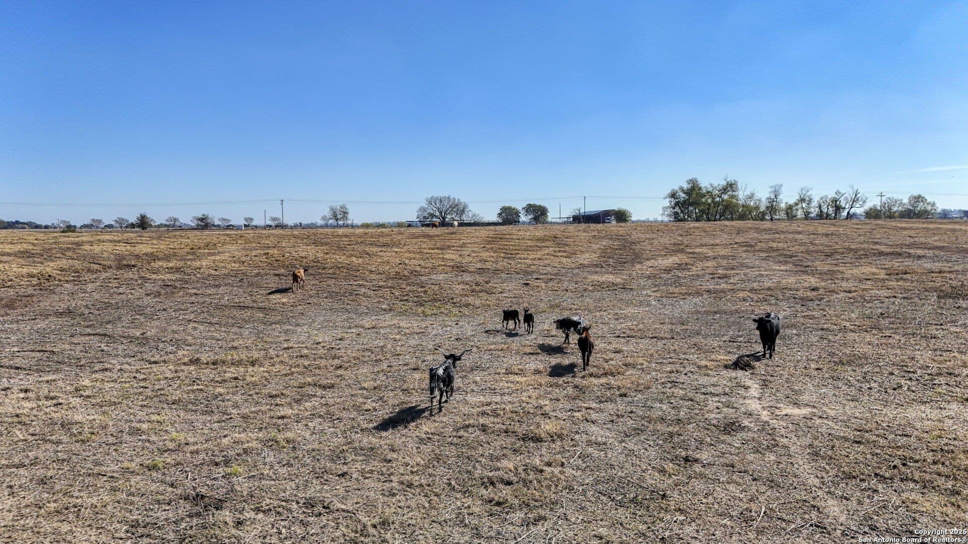 45.43 acres in Fayette County - photo 79